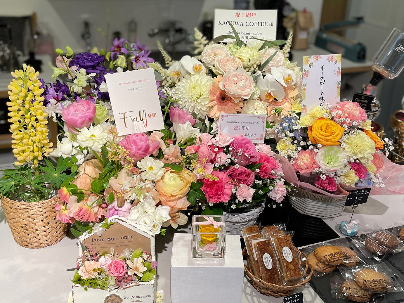 2023.3.14 祝1周年!