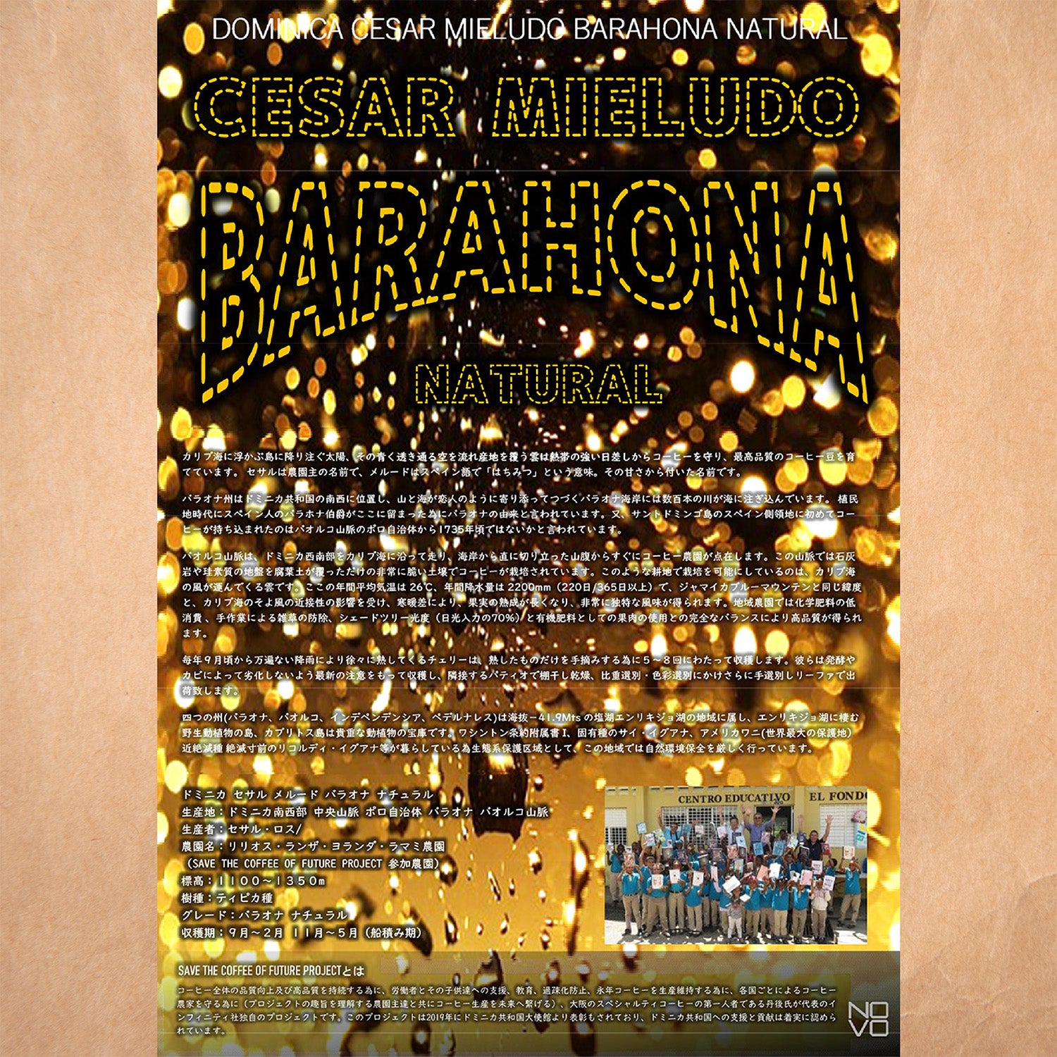 ドミニカ共和国 セサルメルード