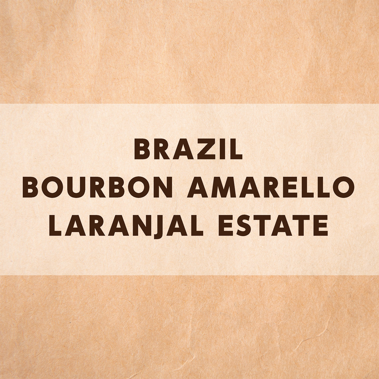 ブラジル ブルボンアマレロ ラランハル農園