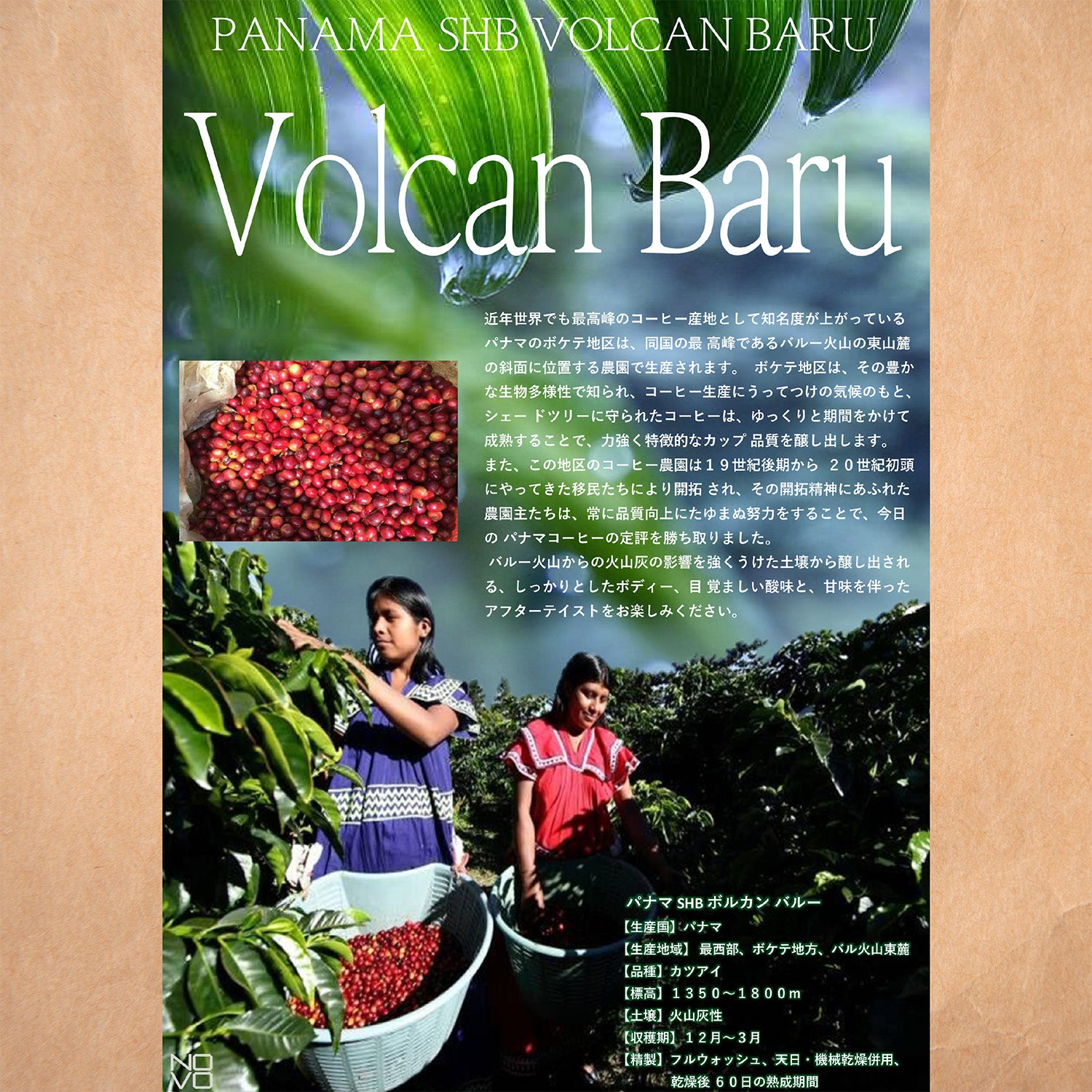 パナマ SHB ボルカンバルー