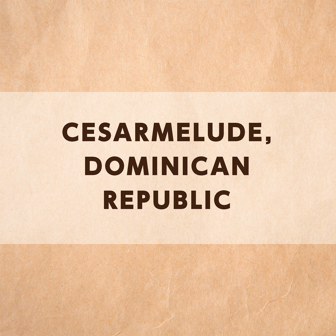 ドミニカ共和国 セサルメルード