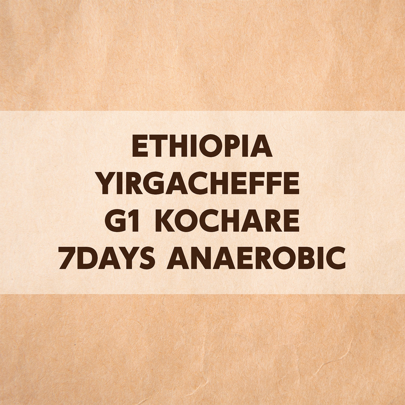 エチオピア イルガチェフェG1 コチャレ 7Days アナエロビック