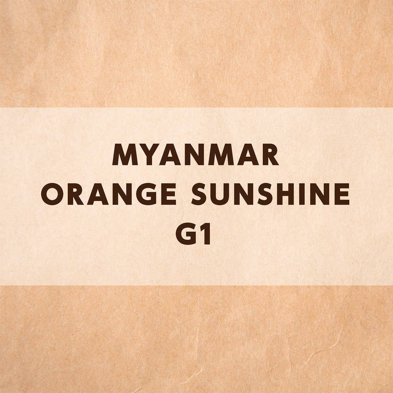 ミャンマー オレンジサンシャイン G1 シャン州ピンダヤ村