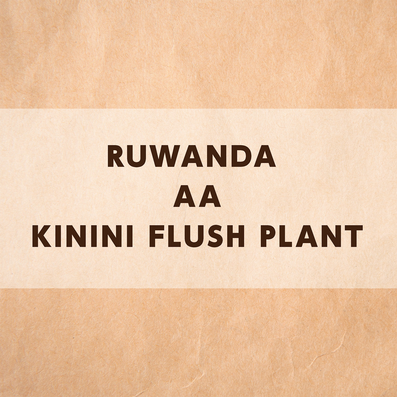 ルワンダ AA キニニ水洗工場