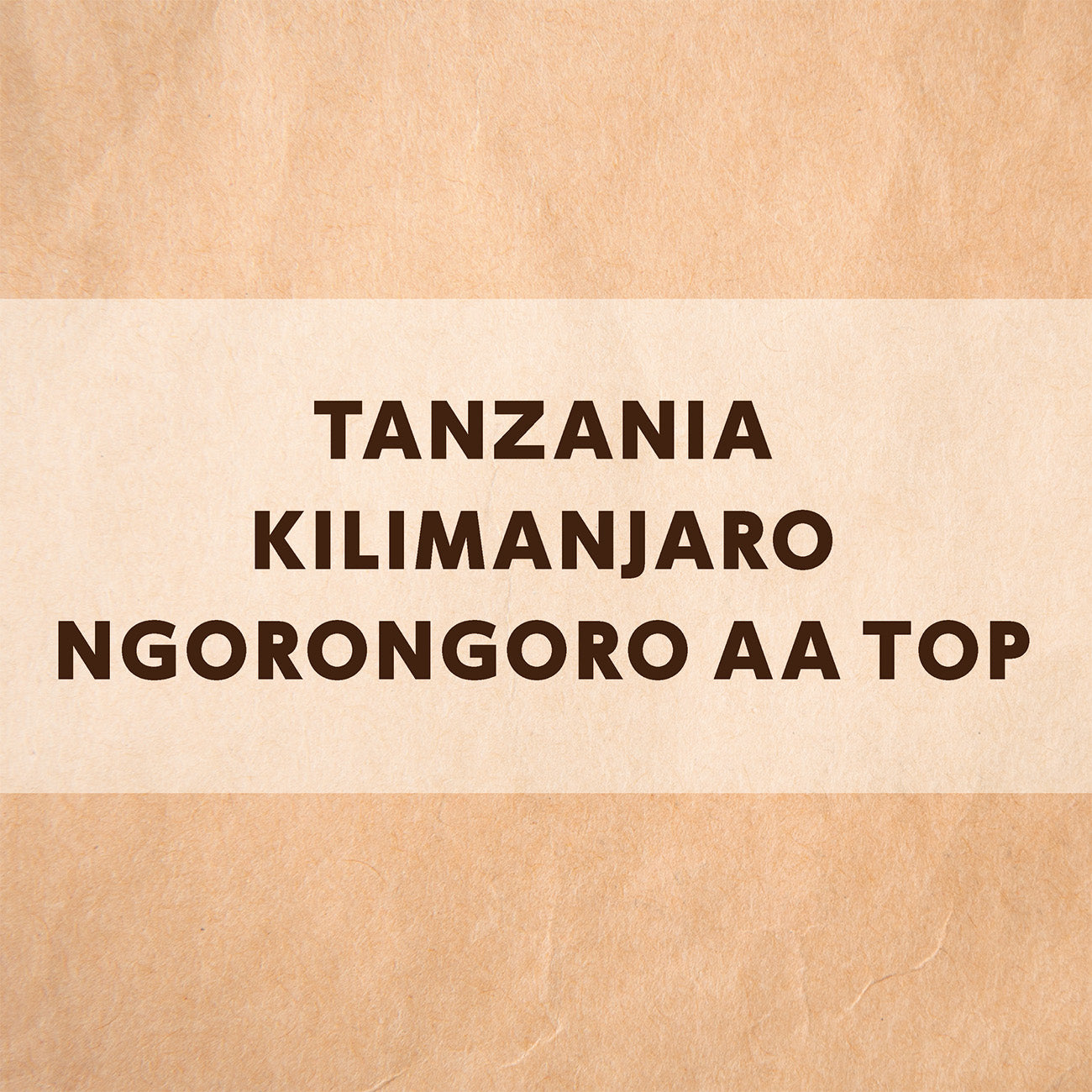 タンザニア キリマンジャロ ンゴロンゴロ AA TOP